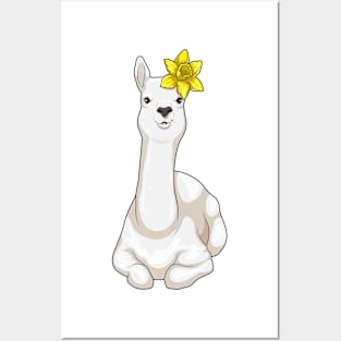 Llama Daffodil Flower Posters and Art